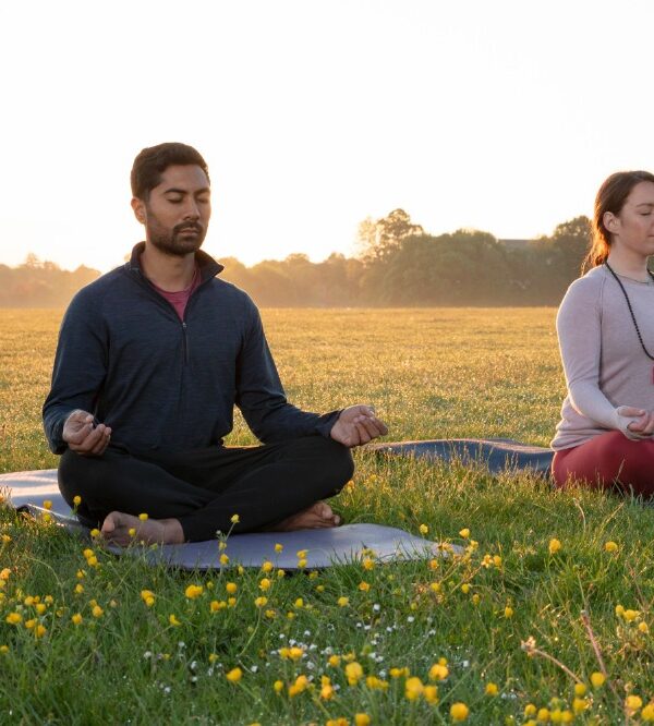 Holistic Health Performance Plan